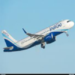 GOINDIGO 